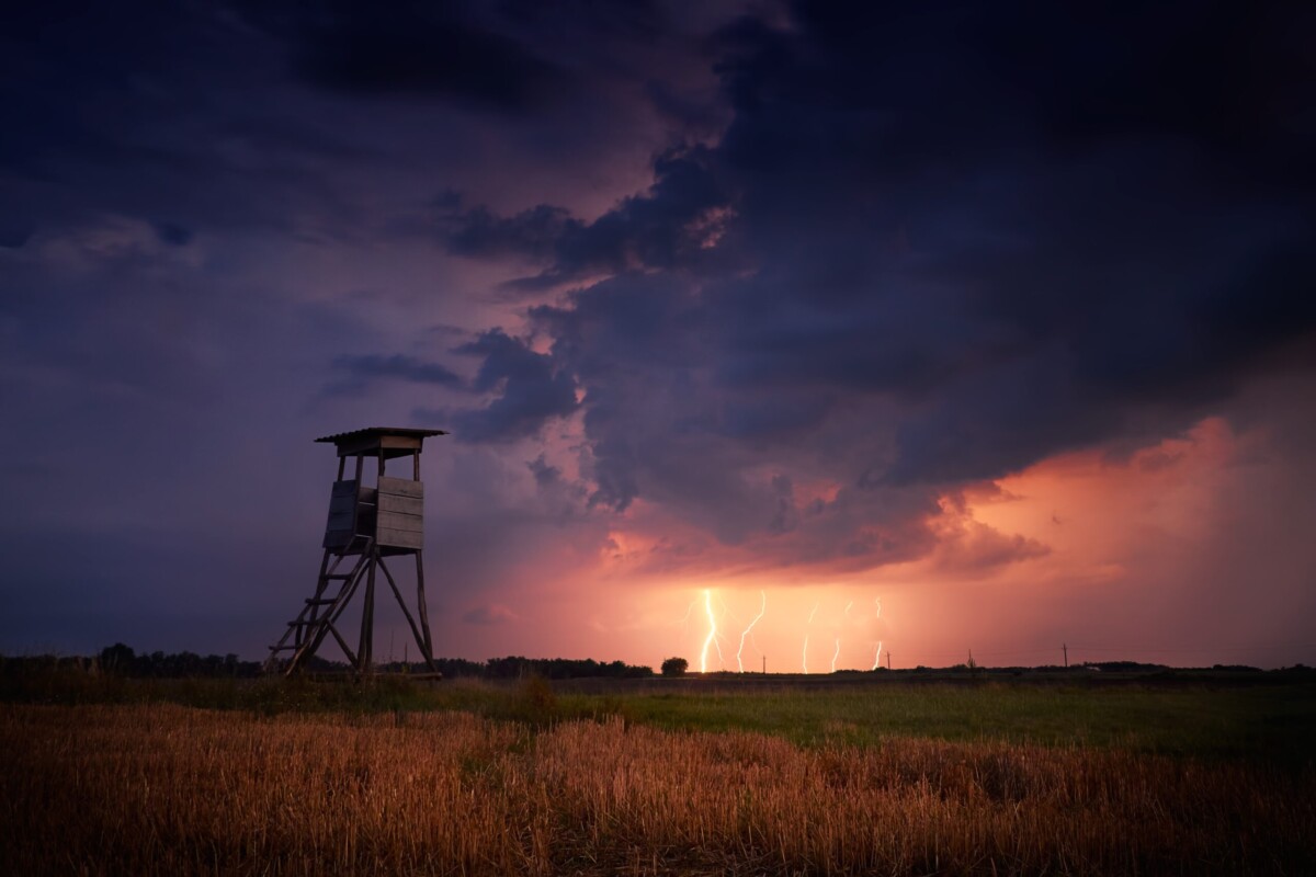 HALALI: POZVÁNKA NA ONLINE WEBINÁŘ