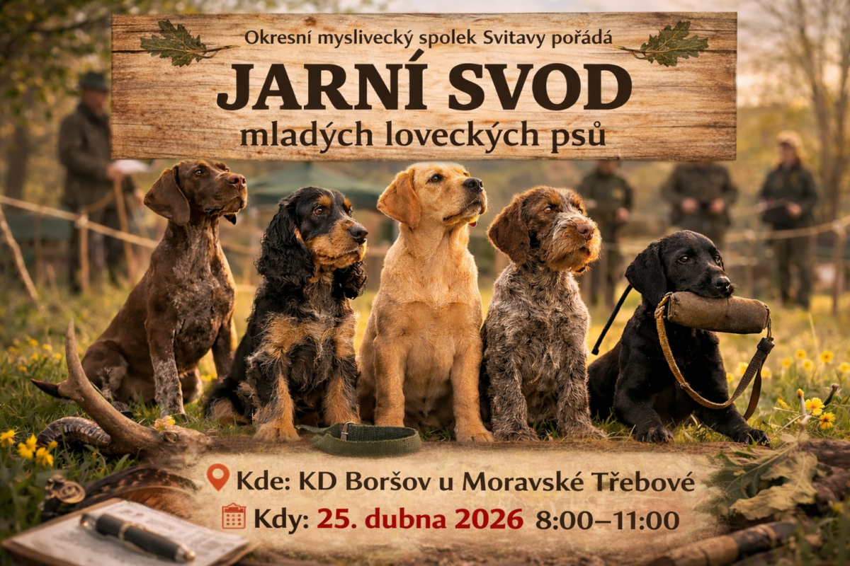 Jarní svod mladých loveckých psů