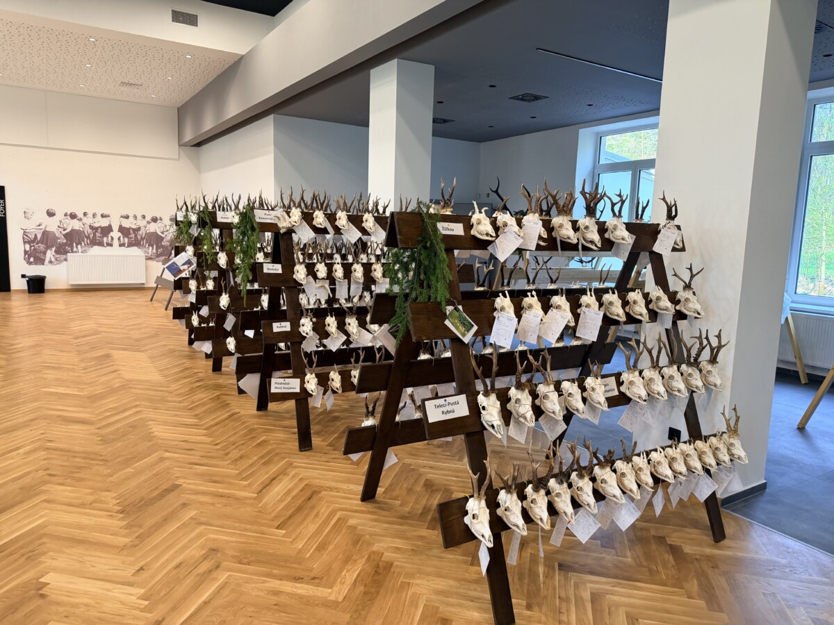 Chovatelská přehlídka trofejí  Boršov